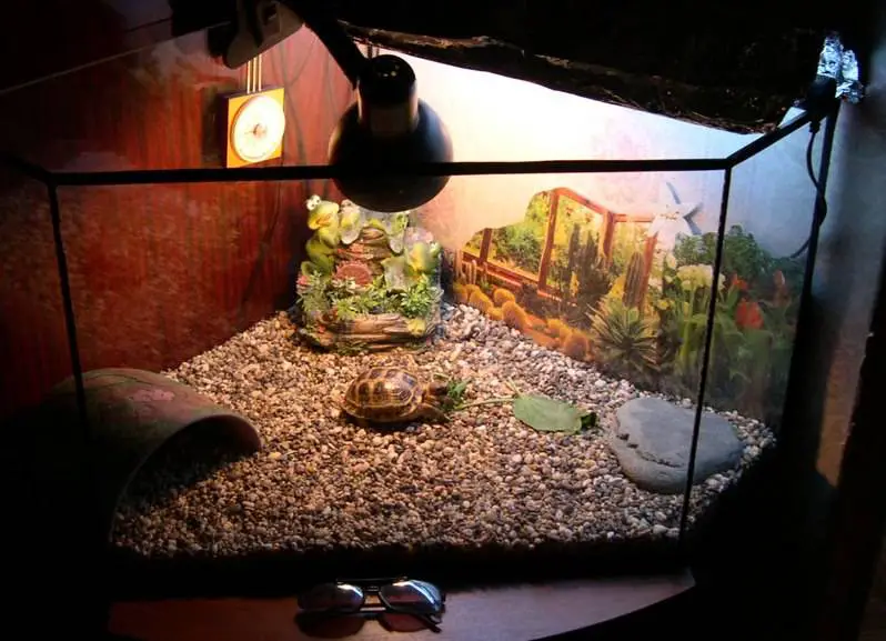 can i use a terrarium as an aquarium
