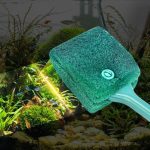 diy algae scraper for aquarium