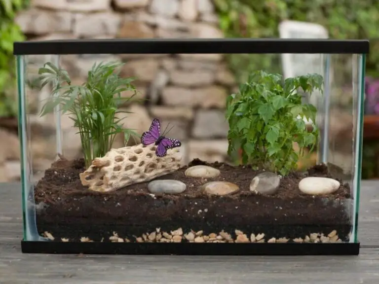 what to do with old aquarium