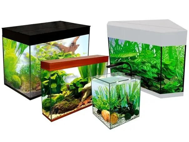 4 types of aquarium shapes