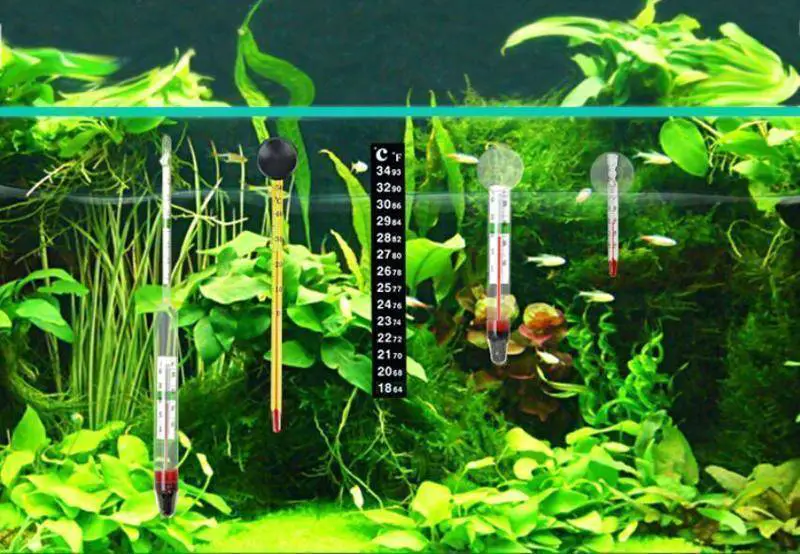 how to maintain water temperature in fish tank