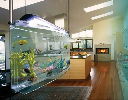 aquarium pros and cons at home