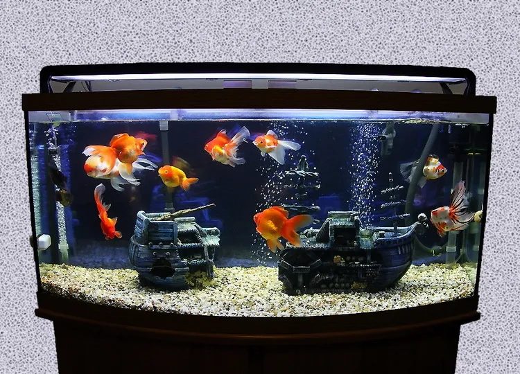 fish tank stocking based on fishes